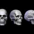 skullcapa.jpg Skull Head