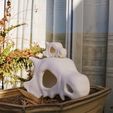 49DA832A-E987-4EB1-95EB-E9DA785FCFC0.jpg Cubone skull
