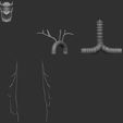 2ZBrush-Document.jpg Larynx anatomical model