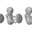 Ninth_Month_Matcap_01.png 3D file Month 9 Human embryonic (baby stages)・3D printable model to download
