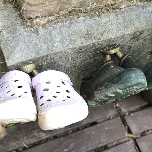 Shoe hook