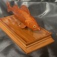 IMG_7757.jpg fish sculpture of a zander / pikeperch with storage space for 3d printing