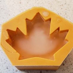 moldIce.jpg Free STL file Leaf ice-cube mold・3D printing model to download