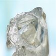 n8.jpg 8 PARTS 3D Magnetic Assemblable Printed Nasal Sinus (maxillary, ethmoid, frontal, sphenoid) Based on Real Patient CT Scan Data