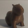 IMG_20250326_161856.jpg alfinete de capivara