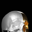 untitled9.png Skull lowpoly 03 VN