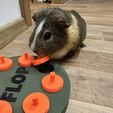 IMG_7470.jpeg Interactive feeding toy - guinea pig, rabbit , and others