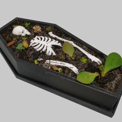 Coffin_pot_suculents.jpg Coffin pot plant container for Halloween