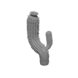 1.png Cactus and prickly pear cactus with supports