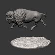 bison13.jpg Bison 3D print model