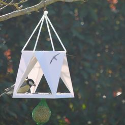 oi4.jpg bird feeder / mangeoire oiseaux