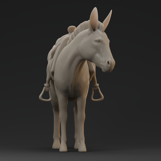 4.png Donkey