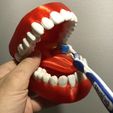 teeth-3.jpg Modèle d'entraînement pour les dents dentaires