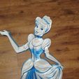 Snapchat-773048473.jpg Cinderella Princess 3d decor/ Wall art/ Cake topper/ Birthday decor