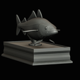 coalfish-statue-box-1-33.png fish coalfish / Pollachius virens with storage space / for 3d printing