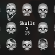 skull-models-x-15.png Черепа