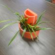 wall_planter_iso.jpg Counter Top Herb and Spice Planter