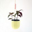 IMG_20181217_153850.jpg STL file Autonomous hanging pot・3D printer design to download