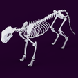 Cat_Skeleton_2.png Cat Skeleton [Articulated]