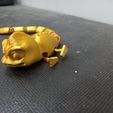 20220629_074511.jpg Flexi chameleon