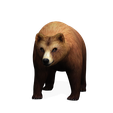 0A.png Bear DOWNLOAD Bear 3d model - animated for blender-fbx-unity-maya-unreal-c4d-3ds max - 3D printing Bear Bear