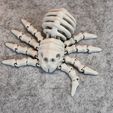 IMG_6841.jpg Flexi Skeleton Spider V2