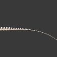 7.jpg Argentinosaurus : Esqueleto completo