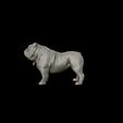 26.jpg Bulldog model 3D print model