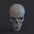 Prev.697.jpg 头骨 3D 打印模型