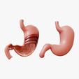 Stomach_Tumbnail.png Stomach Complete Version