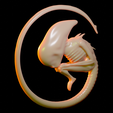 1.png Neomorph embryo / Xenomorph embryo