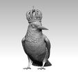 45645654.jpg Kingfisher bird