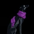Milly,-the-Whippet-3.jpg Milly, the Whippet