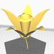 ORQUIDEA.jpg Orchid flower + A² orchid flower
