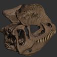 ZBrush-Document7.jpg Dilophosaurus Skull