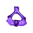 VertebralColumn44.stl Skeleton vertebral column torso bones (90 bones)