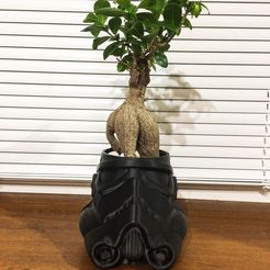 Stormtrooper flower pot, Bora_UA