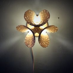 001.JPG Free 3D file Porifera Lamp・3D printable object to download