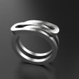 8.152.jpg Custom ring Free 3D print model