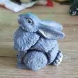 Кролик - Flexi Articulated Animal (печать на месте, без опор)