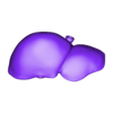 liver_top.stl Menschliche Anatomie Torso Modell