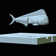 Am-bait-mahi-mahi-breaking-16cm-oci-5mm-13mm-nalev-19.png AM bait fish mahi mahi / common dolphin 16cm breaking form for predator fishing