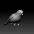 bir1.jpg Bird - animal -cute bird - bird for game -unity3d - ue5