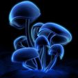 f7a40912a006a2faa257f369aa9f8f2d_display_large.jpg Mushrooms