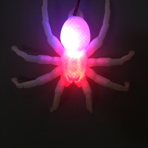 9fbf3fce5123c2ad21a2ad6117d7b209_display_large.JPG Aranha suspensa