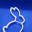 IMG_20190313_080148.jpg cookie cutter easter bunny