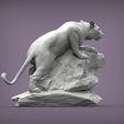 panther-on-stone2.jpg panther on stone 3D print model