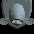 Rainbow-trout-solo-model-open-mouth-1-42.png fish head trophy rainbow trout / Oncorhynchus mykiss open mouth statue detailed texture for 3d printing
