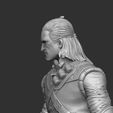 12.jpg The Witcher 3 for 3D printing. Armor of Manticore. STL.