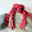 20220515_191451679_iOS.jpg STL file Articulated Spider Crab Flexi Toy・3D printer design to download